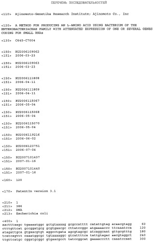 Способ получения l-аминокислот с использованием бактерии, принадлежащей к роду escherichia, в которой инактивирован один или несколько генов, кодирующих малые рнк (патент 2395567)