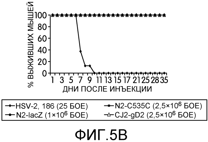 Вакцины против вируса простого герпеса (патент 2575067)