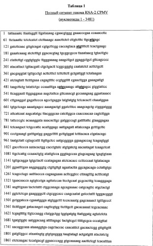 Системы экспрессии белка (патент 2539793)