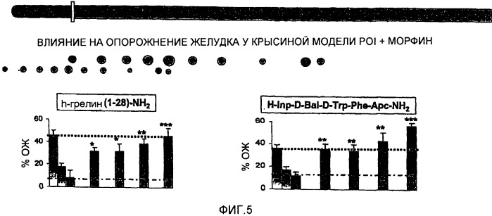 Композиции и способы стимуляции двигательной функции желудочно-кишечного тракта (патент 2420305)