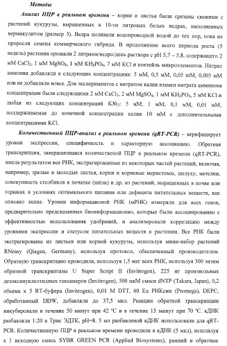 Изолированные полипептиды, кодирующие их полинуклеотиды, экспрессирующие их трансгенные растения и способы их использования (патент 2425151)