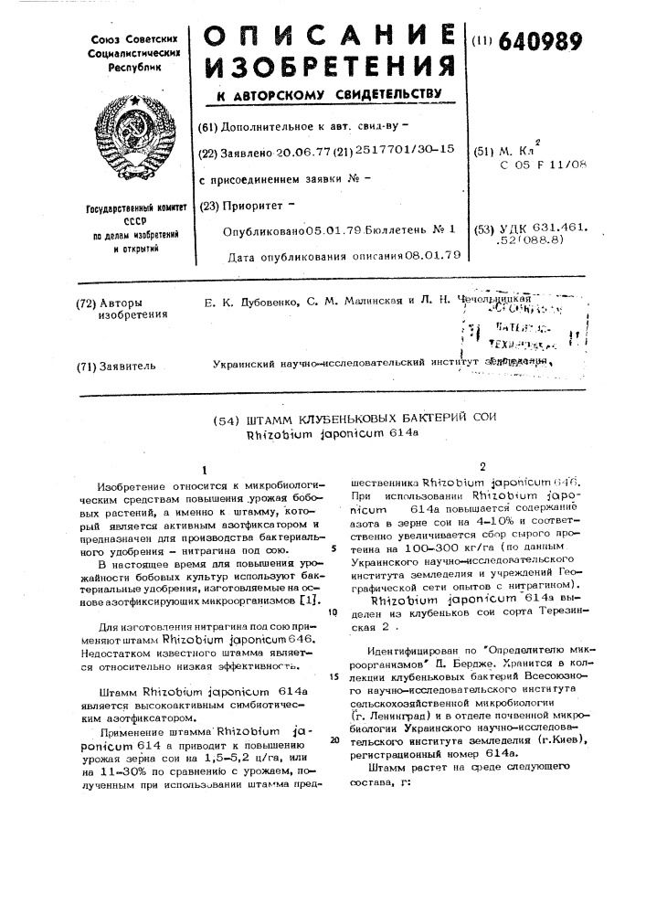Штамм клубеньковых бактерий 614а (патент 640989)