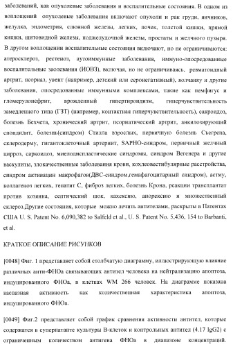 Антитела, специфичные к фактору некроза опухолей, и их применение (патент 2377253)