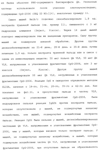 Композиции, содержащие cpg-олигонуклеотиды и вирусоподобные частицы, для применения в качестве адъювантов (патент 2322257)