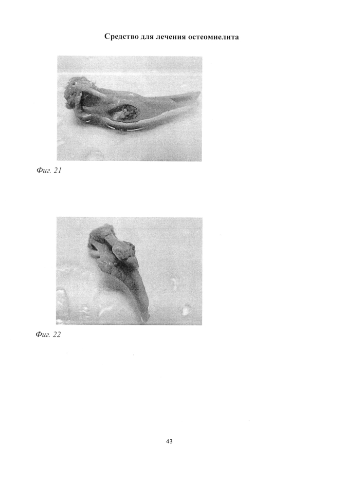 Средство для лечения остеомиелита (патент 2604124)