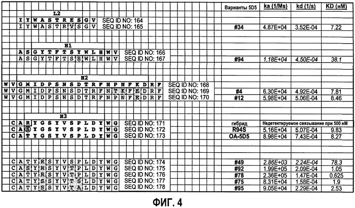 Гуманизированные антагонисты, направленные против c-met (патент 2398777)