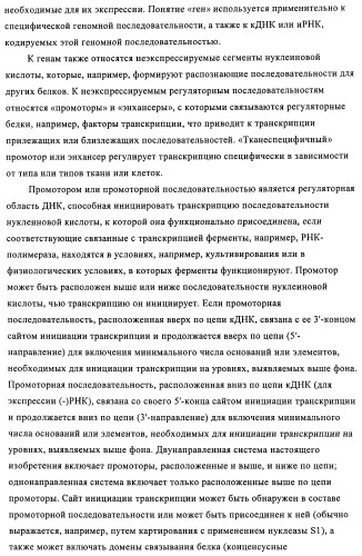 Способы и композиции для экспрессии антисмысловой вирусной рнк в клетках собаки (патент 2457250)