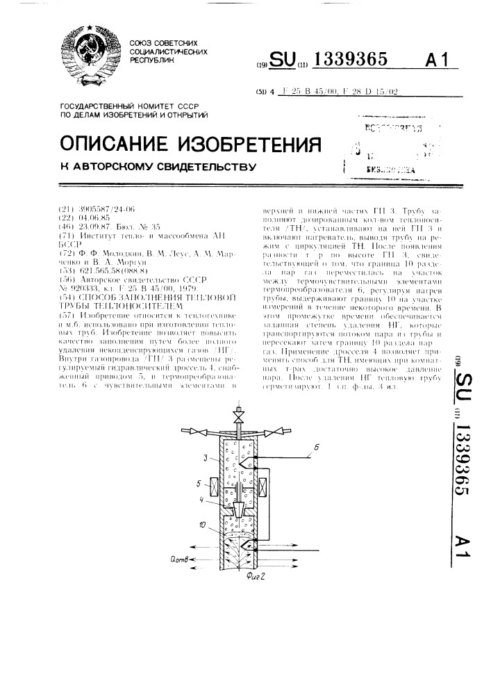 Способ заполнения тепловой трубы теплоносителем (патент 1339365)