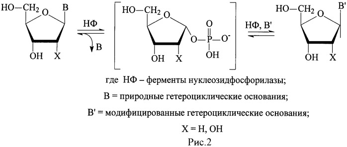 Способ получения 1- -d-рибофуранозил-1,2,4-триазол-3-карбоксамида (патент 2480218)
