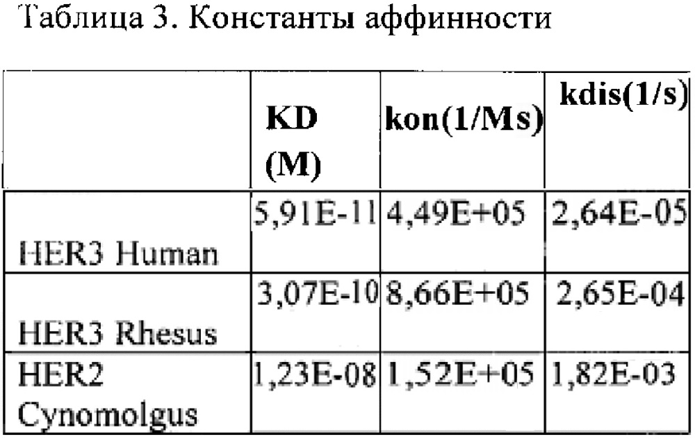 Биспецифичные анти-her2/анти-her3 антитела (патент 2653443)