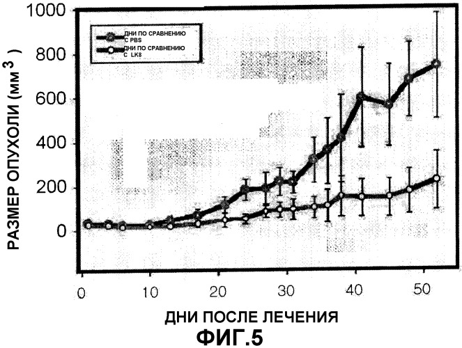 Противораковый агент, содержащий белок lk8 в качестве активного ингредиента (патент 2306147)