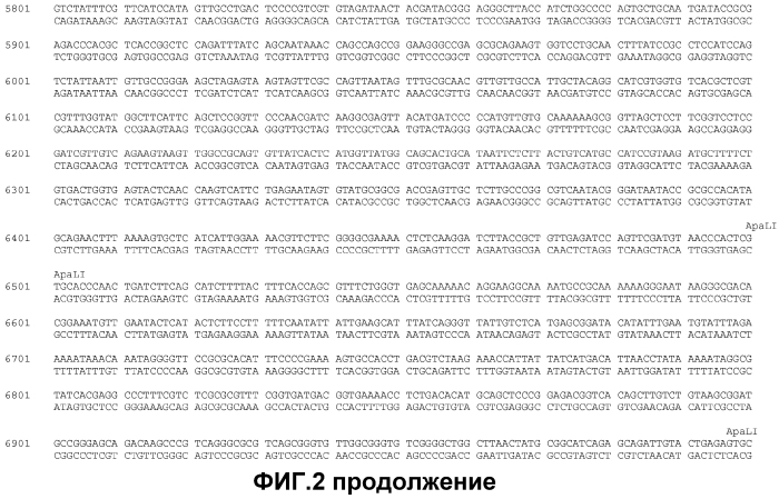 Получение функционализированной линейной днк-кассеты и опосредованная квантовыми точками/наночастицами доставка в растения (патент 2574785)