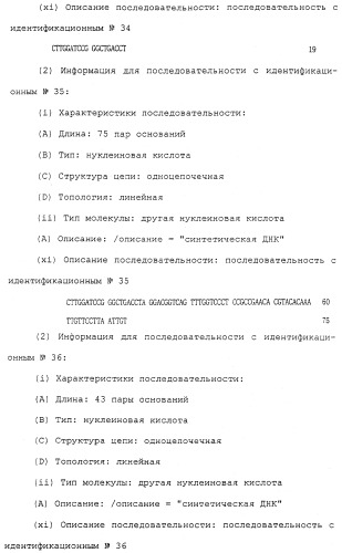 Антитела против белка, родственного паращитовидному гормону человека (патент 2322453)