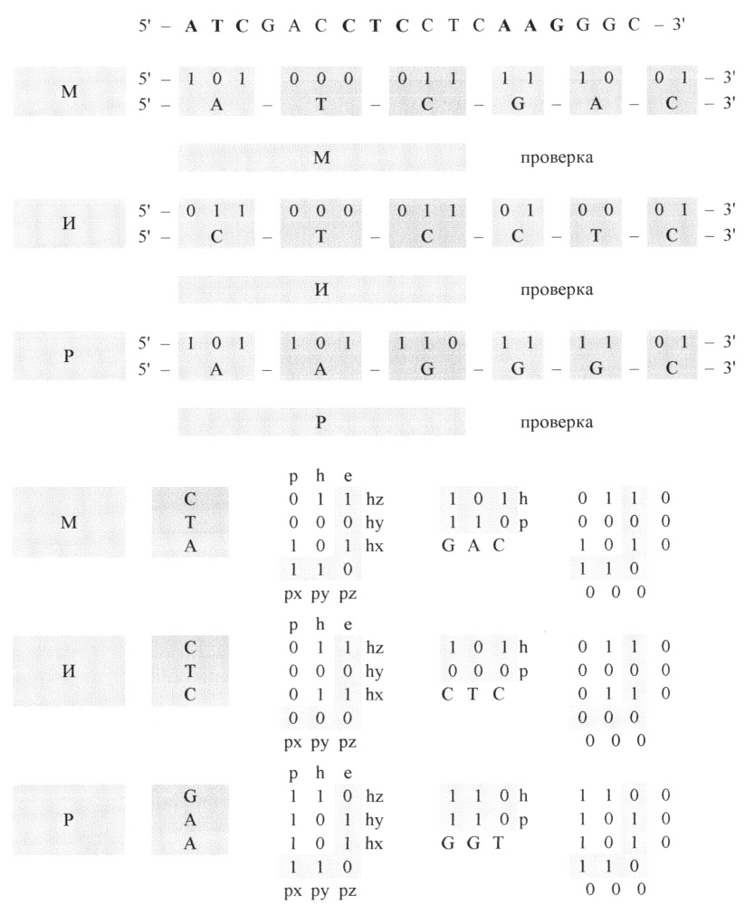 Способы кодирования и декодирования информации (патент 2659025)