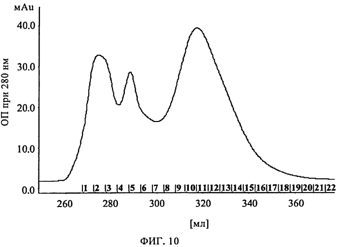 Три- или тетраспецифические антитела (патент 2570633)
