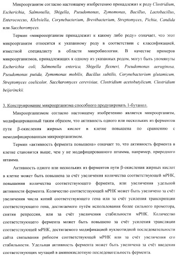 Бактерия - продуцент 1-бутанола и способ получения 1-бутанола (патент 2431672)