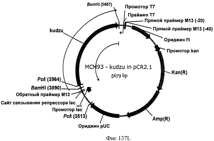 Топливные композиции, содержащие производные изопрена (патент 2531623)