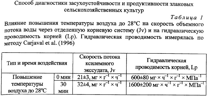 Способ диагностики засухоустойчивости и продуктивности злаковых сельскохозяйственных культур (патент 2339215)