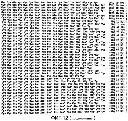 Полипептид для увеличения активности рецептора гуанилатциклазы, фармацевтическая композиция, способ лечения желудочно-кишечного расстройства у пациента, способ повышения активности рецептора гуанилатциклазы у пациента, способ лечения висцеральной боли, способ получения полипептида (варианты), изолированная молекула нуклеиновой кислоты, бактериальный вектор экспрессии и изолированная бактериальная клетка (патент 2433133)