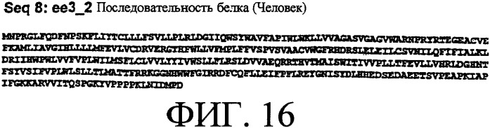 Ее3-семейство белков и соответствующие днк-последовательности (патент 2333918)