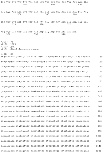 Стабильные иммуногенные композиции антигенов staphylococcus aureus (патент 2570730)