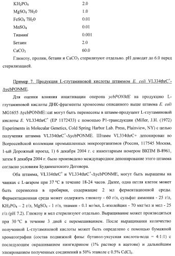 Способ получения l-треонина с использованием бактерии, принадлежащей к роду escherichia, в которой инактивирован оперон ycbponme (оперон ssueadcb) (патент 2392326)