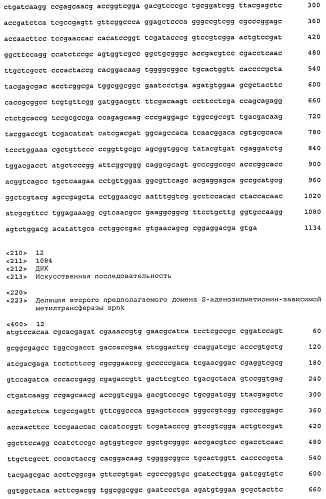 Штаммы spnk (патент 2580015)