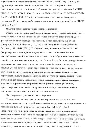 Стабилизированные антитела против ангиопоэтина-2 и их применение (патент 2509085)