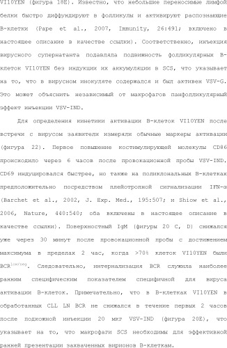 Нацеливание на антигенпрезентирующие клетки иммунонанотерапевтических средств (патент 2497542)