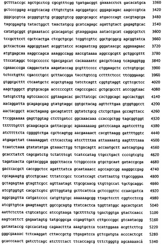 Ферментативное получение четырехуглеродных спиртов (патент 2394913)