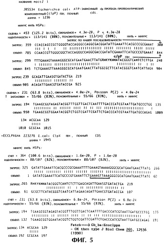 Vgc2 днк salmonella typhimurium, мутантная бактерия, обладающая пониженной способностью к адаптации к условиям окружающей среды, и способ ее получения (патент 2370541)
