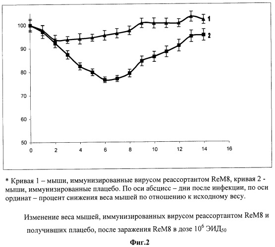 Реассортант rem8 - вакцинный штамм вируса гриппа а подтипа н1n1 (патент 2457245)