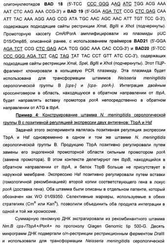 Нейссериальные вакцинные композиции, содержащие комбинацию антигенов (патент 2494758)