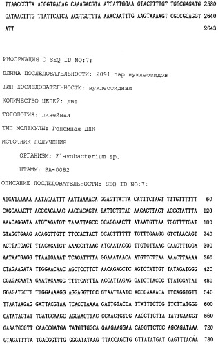 Полипептид, расщепляющий полисахарид, содержащий сульфатированную фукозу, кодирующая его днк, способ его получения, экспрессирующий вектор, способ получения трансформированной e.coli (патент 2246539)