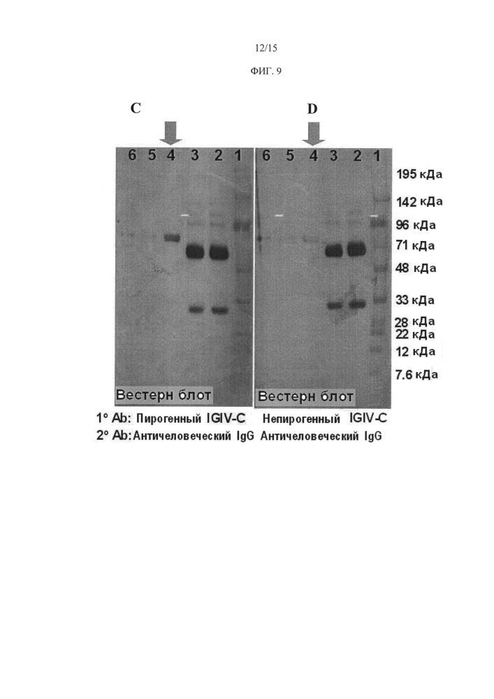 Определение атипичных антител в крови и продуктах крови человека (патент 2622984)