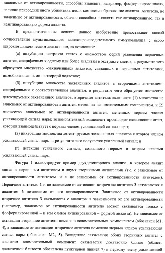 Чипы на основе антител для определения множественных трансдукторов сигналов в редких циркулирующих клетках (патент 2442171)