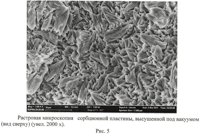 Состав пластины сорбционной (патент 2474422)