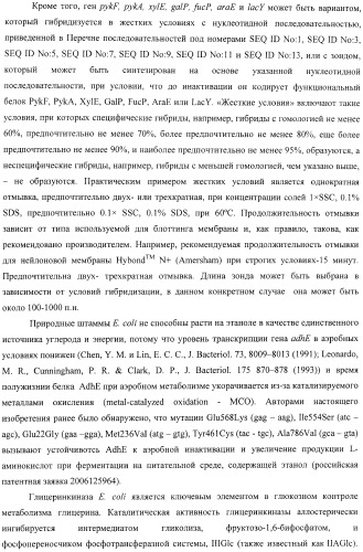 Способ продукции полезного метаболита (патент 2408731)