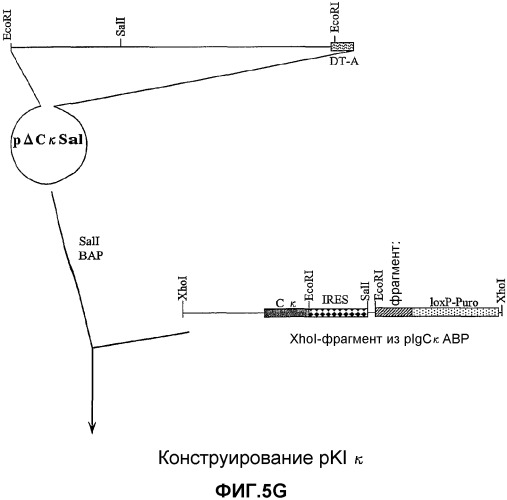 Желудочно-кишечный пролиферативный фактор и его применения (патент 2343158)