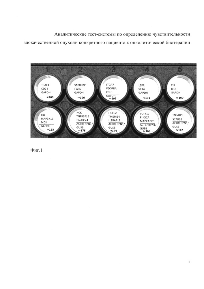 Аналитическая тест-система по определению чувствительности злокачественной опухоли конкретного пациента к онколитической биотерапии (патент 2667648)