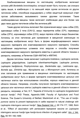 Поливалентные вакцины для собак против leptospira bratislava и других патогенов (патент 2400248)