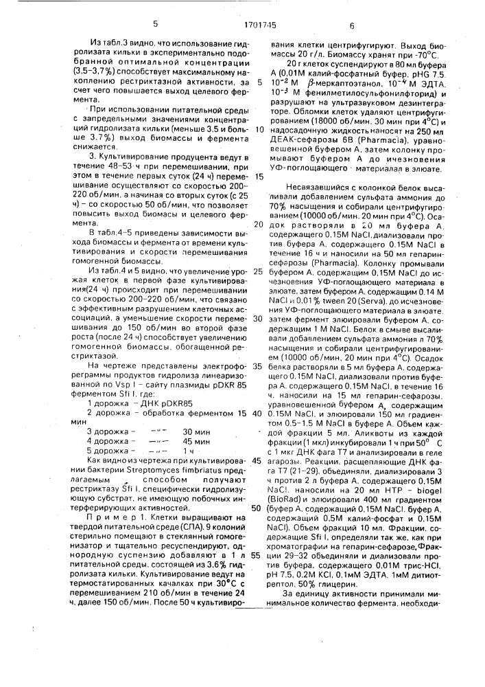 Способ получения биомассы sтrертомyсеs, обогащенной эндонуклеазой рестрикции sfi i. (патент 1701745)