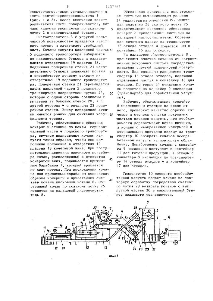 Линия механизированной зачистки кочанов капусты (патент 1237161)