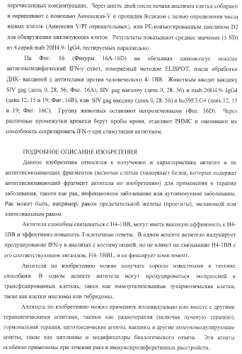 Человеческие антитела против человеческого 4-1вв (cd137) (патент 2376316)