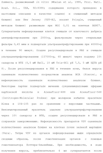 Включение адъюванта в иммунонанотерапевтические средства (патент 2496517)