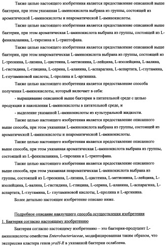 Способ получения l-треонина с использованием бактерии, принадлежащей к роду escherichia, в которой инактивирован кластер генов yrah-r (патент 2337962)