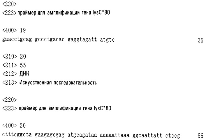 Бактерия, продуцирующая l-аминокислоту, и способ получения l-аминокислоты (патент 2368659)