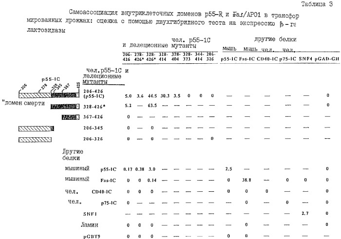 Полипептид, обладающий способностью связываться с внутриклеточным доменом p-55 tnf-рецептора, молекула днк, кодирующая этот полипептид, вектор экспрессии и способ получения полипептида (патент 2273664)