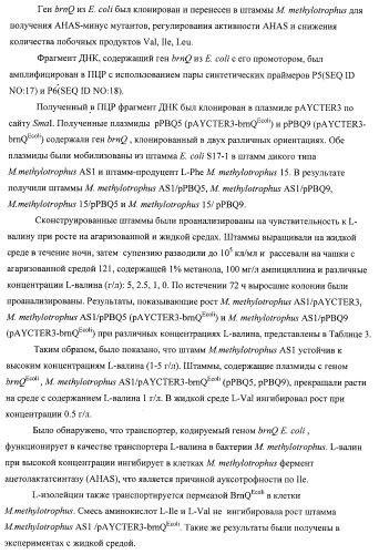 Способ придания бактерии, принадлежащей к роду methylophilus, ауксотрофности по l-аминокислоте, бактерия, принадлежащая к роду methylophilus, и способ продукции l-аминокислоты (патент 2395569)