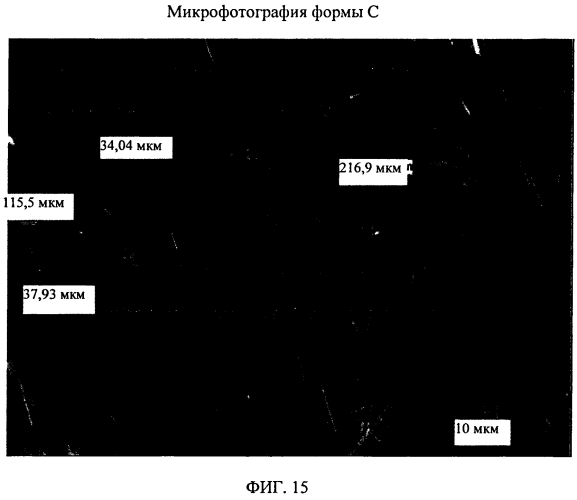 Твердые пероральные составы и кристаллические формы ингибитора белка апоптоза (патент 2574405)